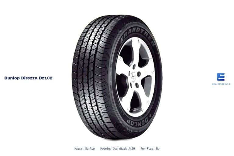 Ficha técnica Dunlop direzza dz102